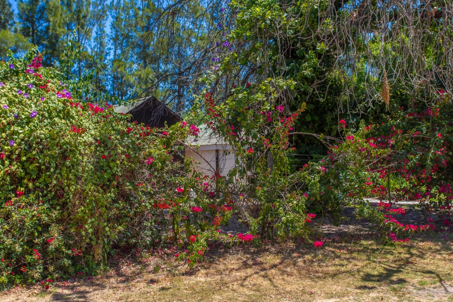 Commercial Property for Sale in Lyndoch Western Cape